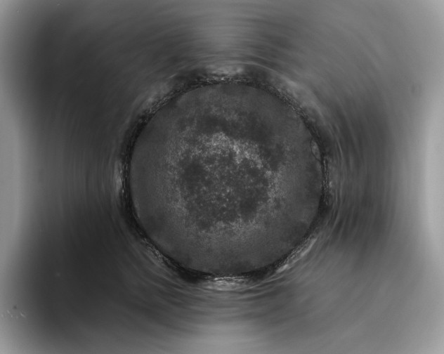 X0000094180758200711091142