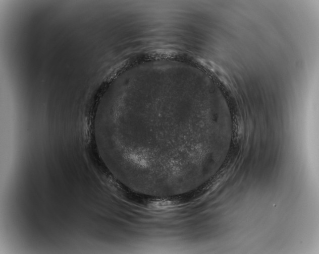 X0000094180759200711091142
