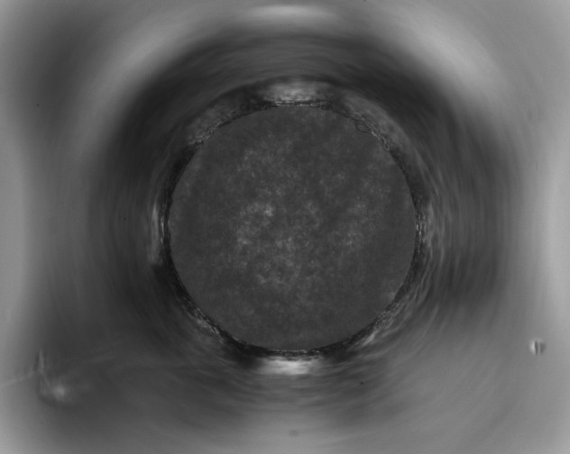 X0000094180763200711091142