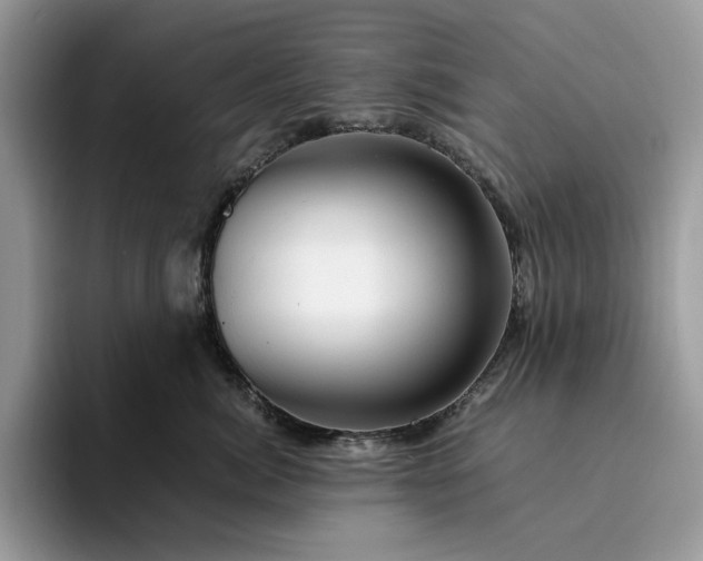 X0000094180764200711091142