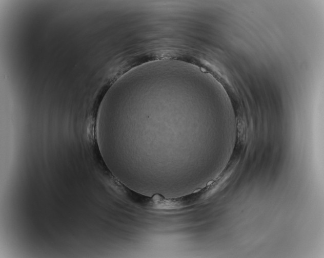 X0000094180766200711091142
