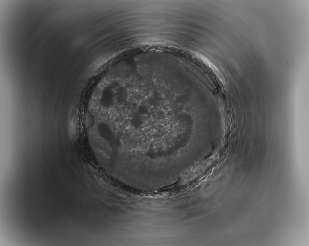 X0000094180775200711091142