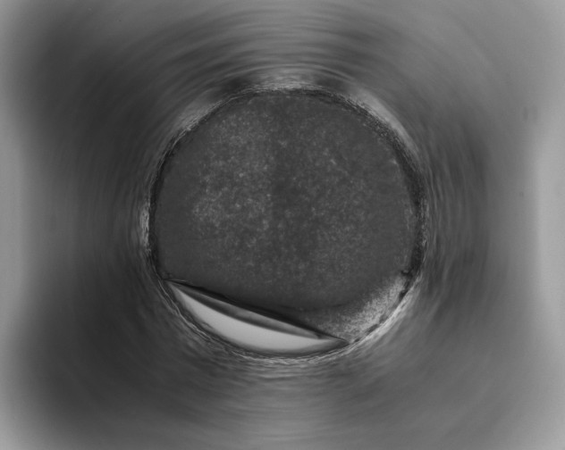 X0000094180777200711091141