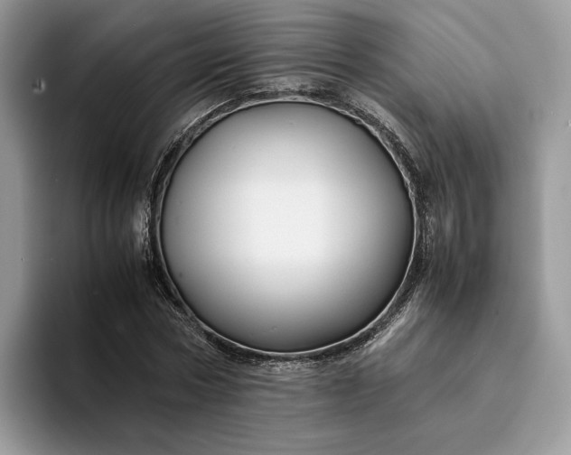 X0000094180778200711091141