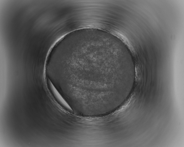 X0000094180780200711091141