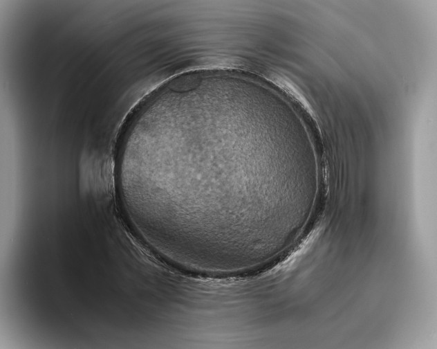 X0000094180781200711091141