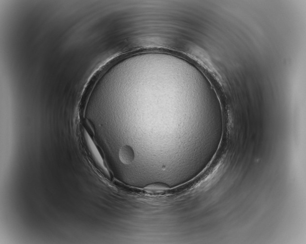 X0000094180782200711091141