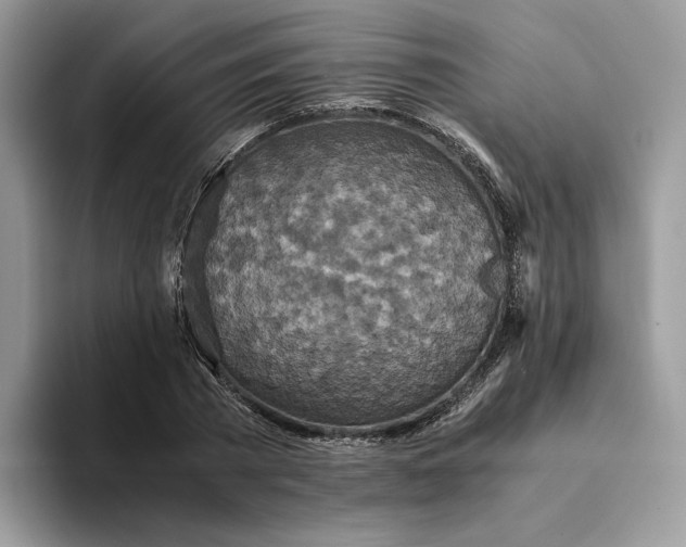 X0000094180785200711091141