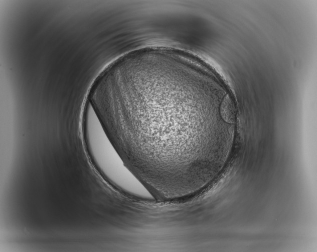 X0000094180791200711091141
