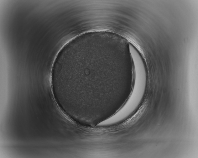 X0000094180797200711091141