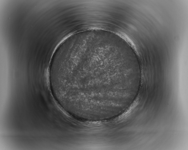 X0000094180798200711091141