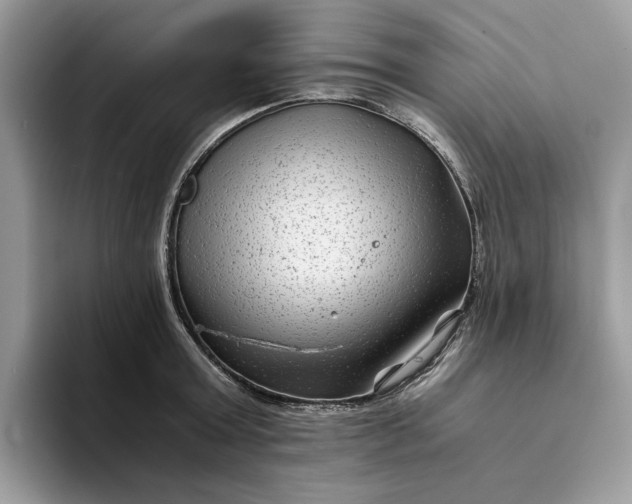X0000094180803200711091141