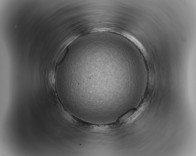 X0000094180809200711091141