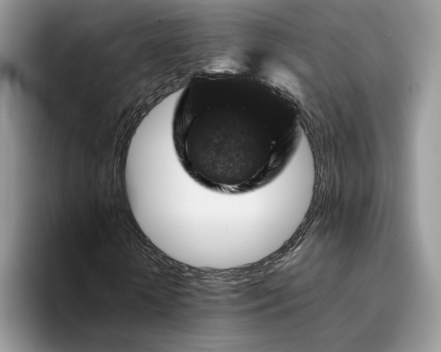 X0000094180818200711091140