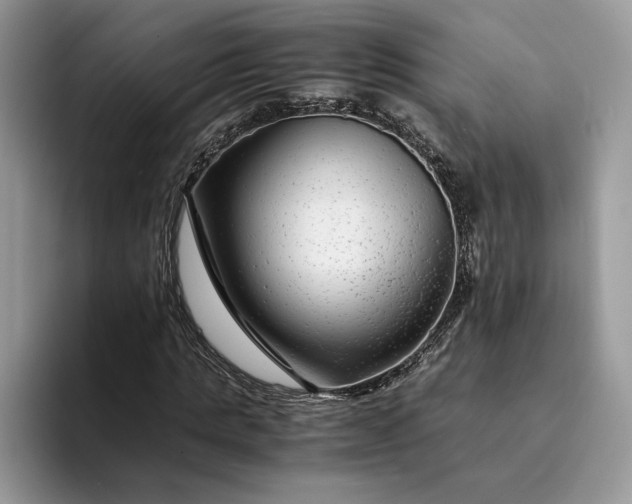 X0000094180821200711091141