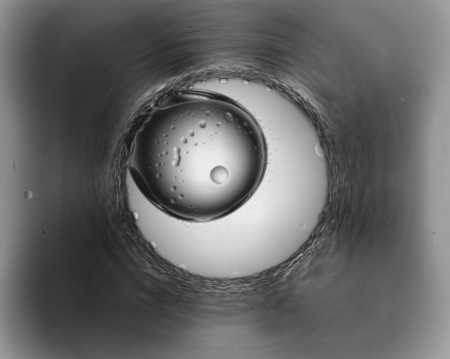 X0000094180824200711091141