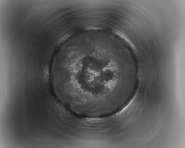 X0000094180825200711091141