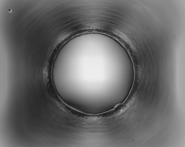 X0000094180826200711091141