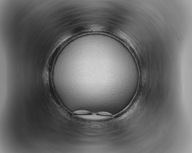 X0000094180827200711091141