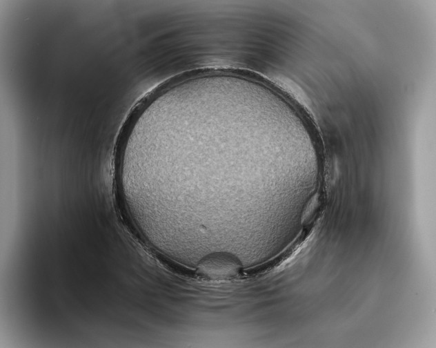 X0000094180831200711091141