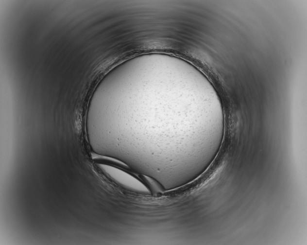 X0000094180833200711091141