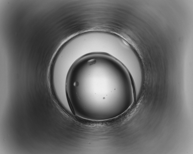 X0000094180838200711091141
