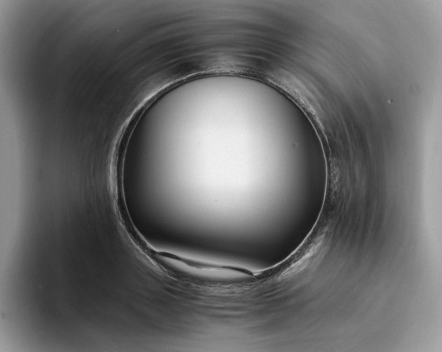 X0000094180843200711091141