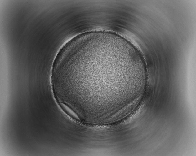 X0000094180847200711091141