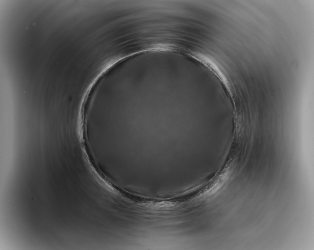 X0000094180851200711091141