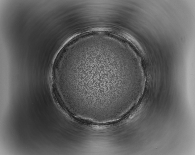 X0000094180852200711091141