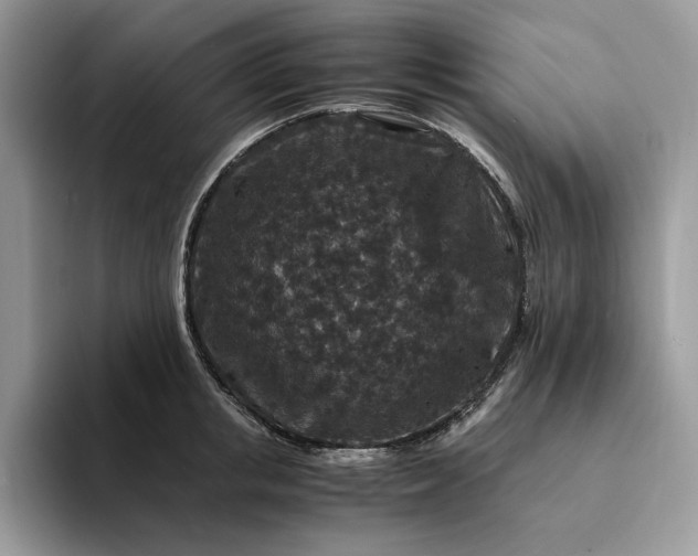 X0000094180853200711091141