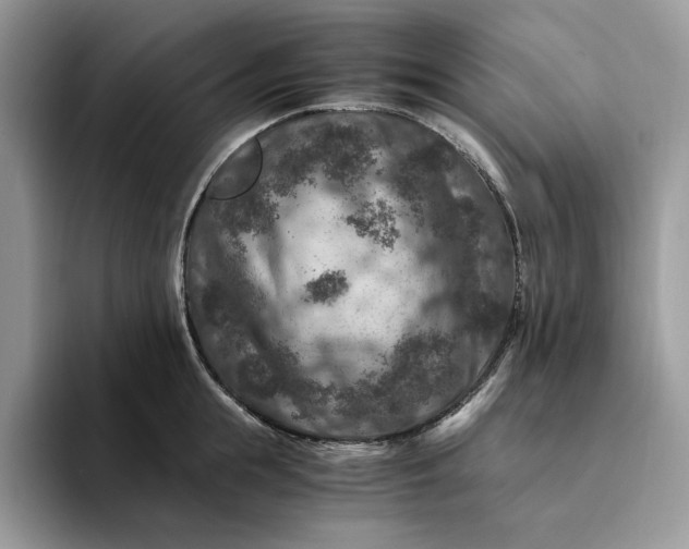 X0000094180855200711091141