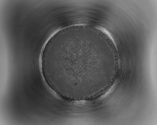 X0000094180859200711091141