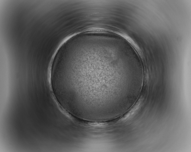 X0000094180862200711091141