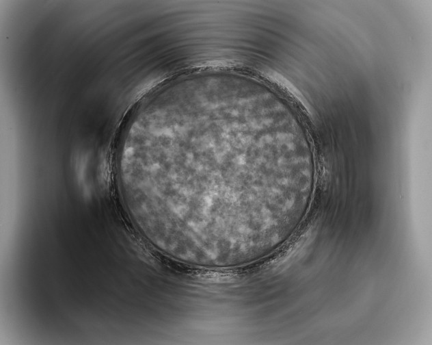 X0000094180874200711091140