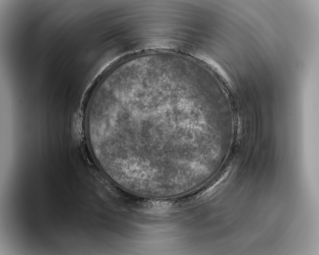 X0000094180878200711091140