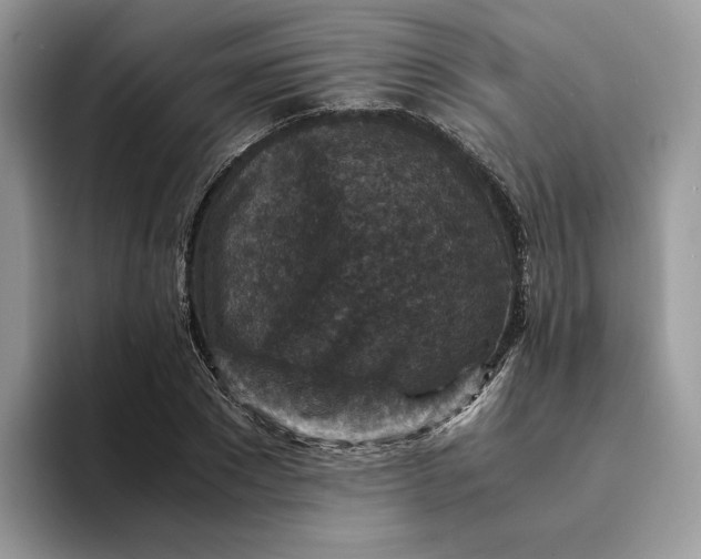 X0000094180881200711091140
