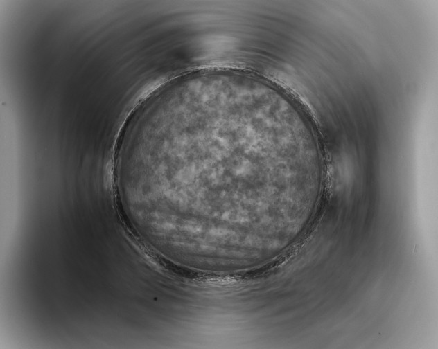 X0000094180882200711091140
