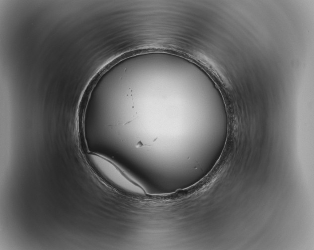 X0000094180884200711091140