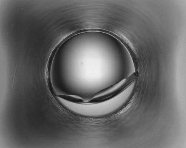 X0000094180885200711091140