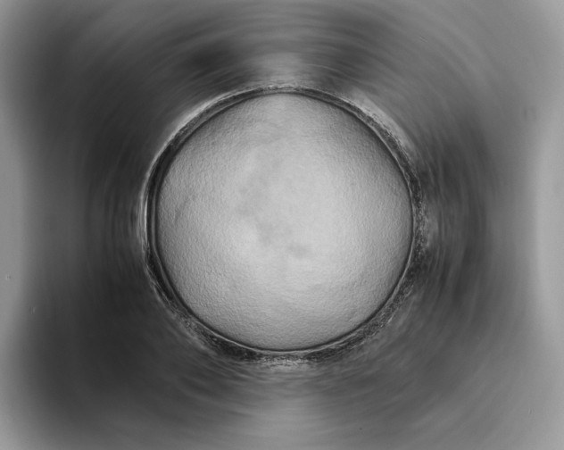 X0000094180886200711091140