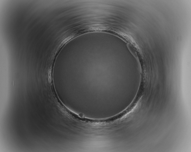 X0000094180889200711091140
