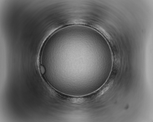 X0000094180893200711091140
