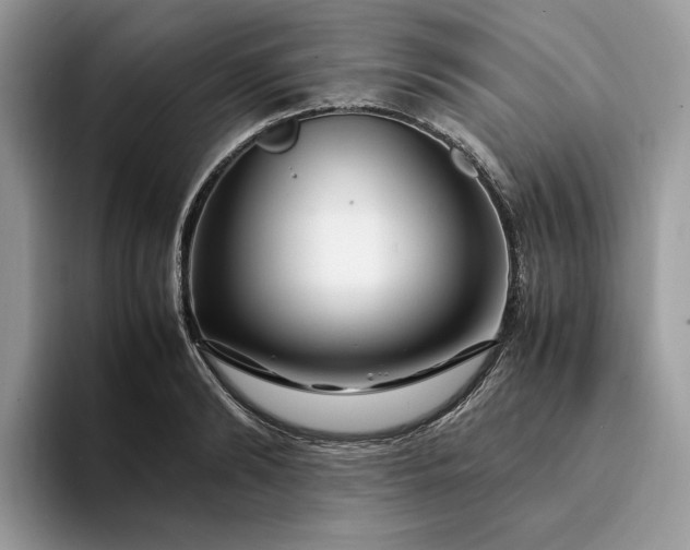 X0000094180894200711091140