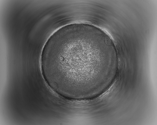X0000094180895200711091140