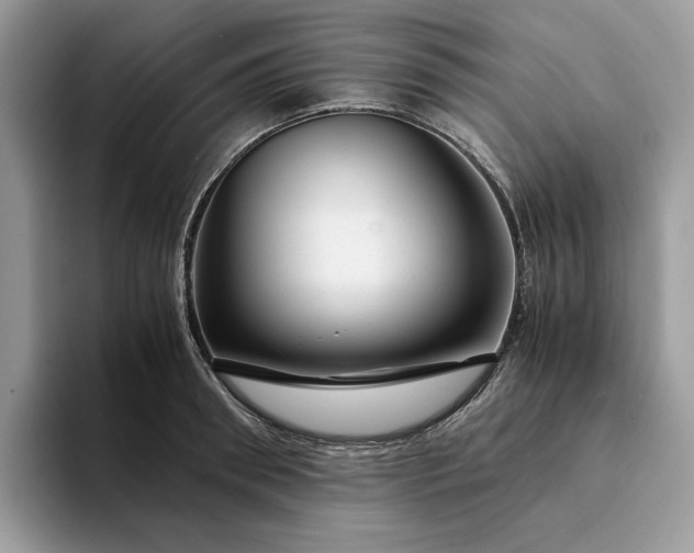 X0000094180898200711091140