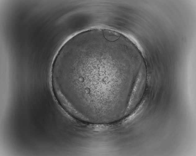 X0000094180903200711091140