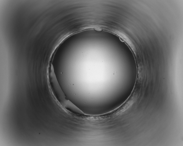 X0000094180906200711091140