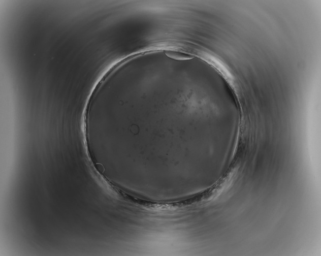 X0000094180907200711091140