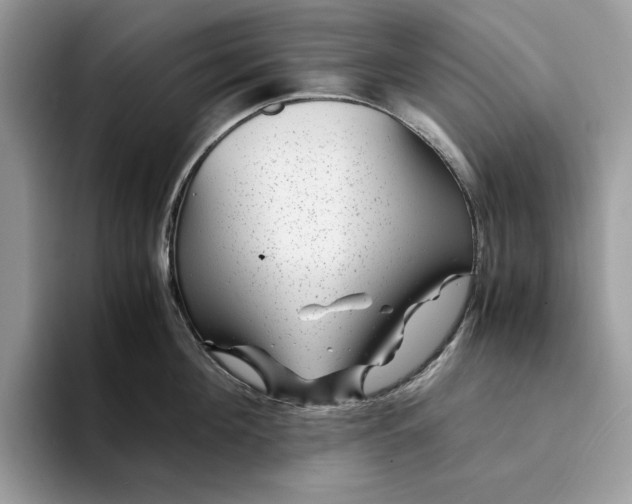 X0000094180908200711091140